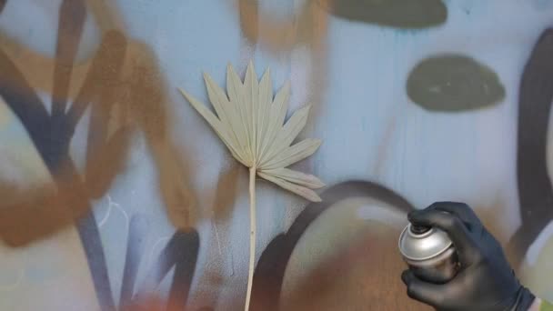 Painting wall with stencil in palm leaf shape — Stockvideo