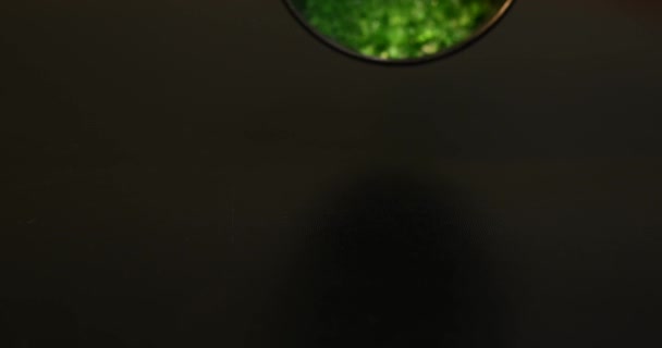 黒の背景に緑のエメラルド素材を振りかける — ストック動画