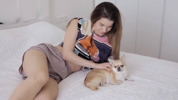 Женщина гладит собаку дома на кровати — стоковое видео