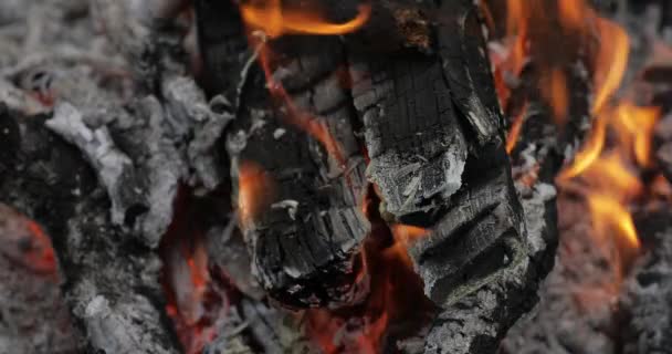 Burning hot charcoal with flame — Stock Video
