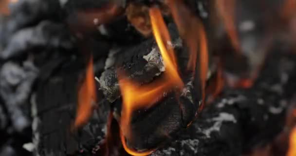 Verbranden van hete houtskool met vlam — Stockvideo