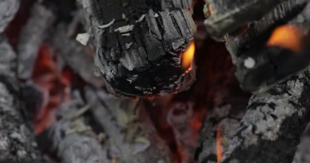 Burning hot charcoal with flame — Stock Video