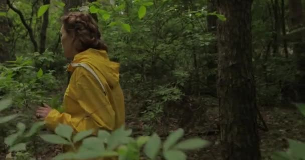 Женщина, гуляющая в лесу, с оригинальной аудиозаписью — стоковое видео