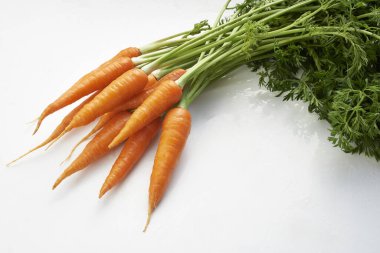 Beyaz arka planda taze havuç  