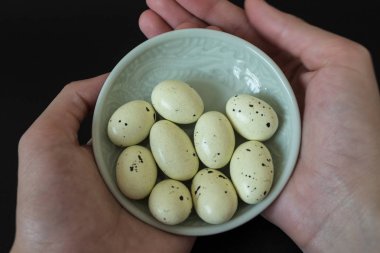 Bıldırcın yumurtası şeklinde çikolatalar. Paskalya kavramı. Bıldırcın yumurtası