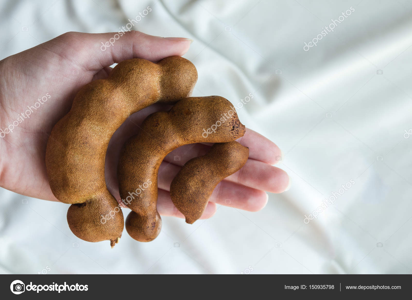 Ripe Tamarind In Female Hand Stock Photo Image By C Koza4enkoolga Yandex Ua Ripe Tamarind In Female Hand Stock Photo Image By C Koza4enkoolga Yandex Ua