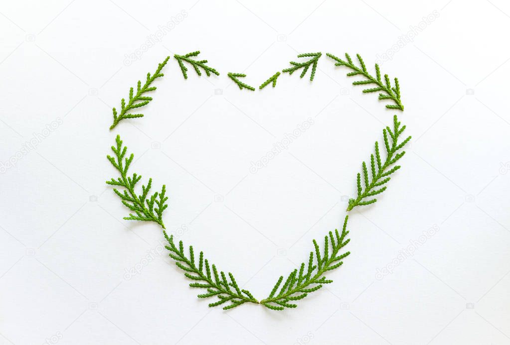 Heart of fir branches on white background. Flat lay, top view. 