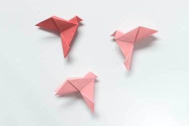 Farklı tonları pembe kuşların. Origami. Özgürlük kavramı,