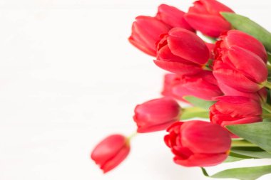 Beyaz arka plan üzerinde Pembe Lale büyük buket. Seçici odak. Ufuk, bulanık zemin