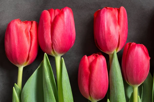 Macro Tête Fleur Tulipes Rouges Sur Papier Emballage Noir — Photo