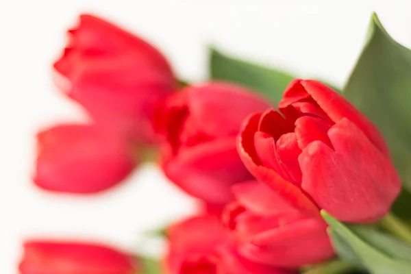 Grand Bouquet Tulipes Roses Sur Fond Blanc Concentration Sélective Fond — Photo