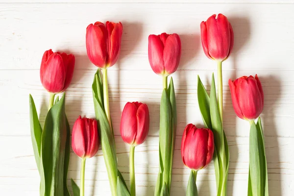 Tulipes Rouges Sur Fond Blanc Bois Pose Plate Vue Dessus — Photo