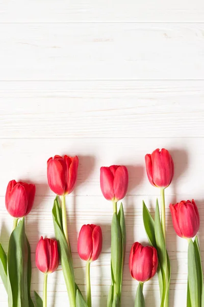 Tulipes Rouges Sur Fond Blanc Bois Pose Plate Espace Copie — Photo