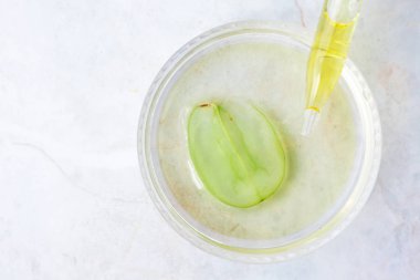 Pipette üzüm tohumu yağı ve bir dilim yeşil üzüm. Saf essenti.