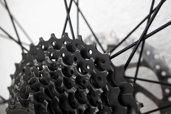 Black bike cassette, close-up. Detail of bike maintenance basics