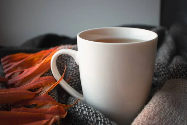 Burla taza blanca con té caliente de hierbas y bufanda de punto, naranja a — Foto de Stock