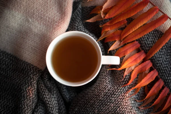 Vista superior té de hierbas en taza blanca en el fondo de la cicatriz de punto — Foto de Stock