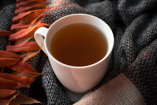 Herbata ziołowa w białym kubku na tle z dzianin szalik i ora — Zdjęcie stockowe