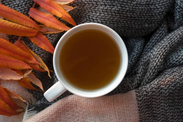 Chá quente de ervas em copo branco no fundo de cachecol de malha e — Fotografia de Stock