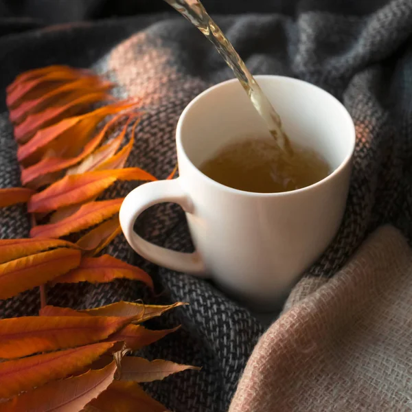 Tee in weißer Tasse auf Hintergrund aus gestricktem Schal gießen und oder — Stockfoto