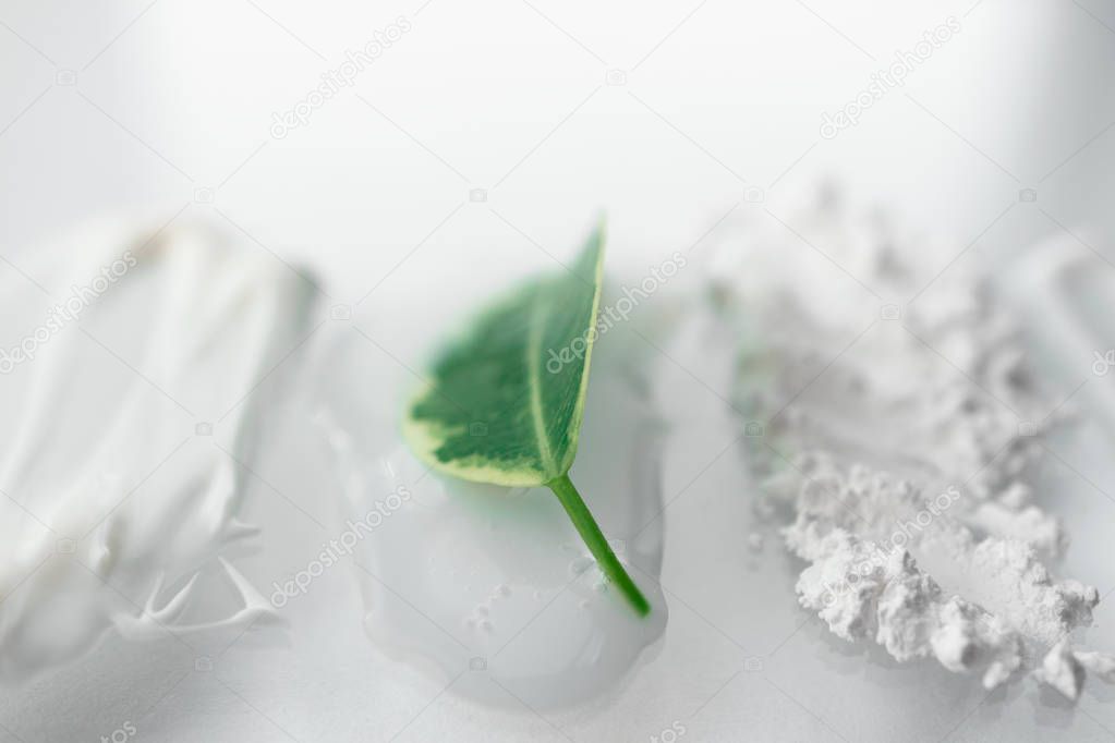 Fresh green leaf and smear beauty cosmetic with selective focus.