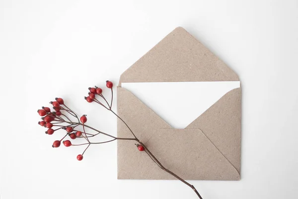 Kağıt zarftaki mektup ve beyaz arkaplanda kırmızı dut. — Stok fotoğraf
