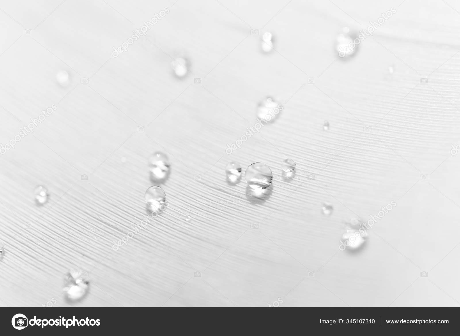 White Foam Soap Texture Abstract Background. Close Up, Macro Stock