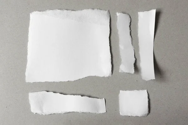 Notas blancas rasgadas, juego de pedazos de papel de diferentes formas desgarradas — Foto de Stock