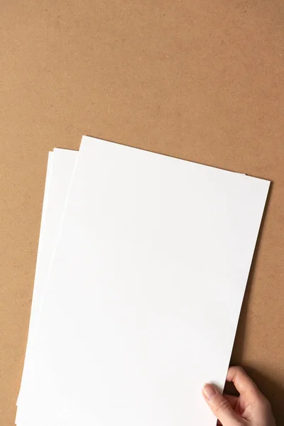 Mão segure branco folhas de papel limpas vazias no fundo de papelão — Fotografia de Stock