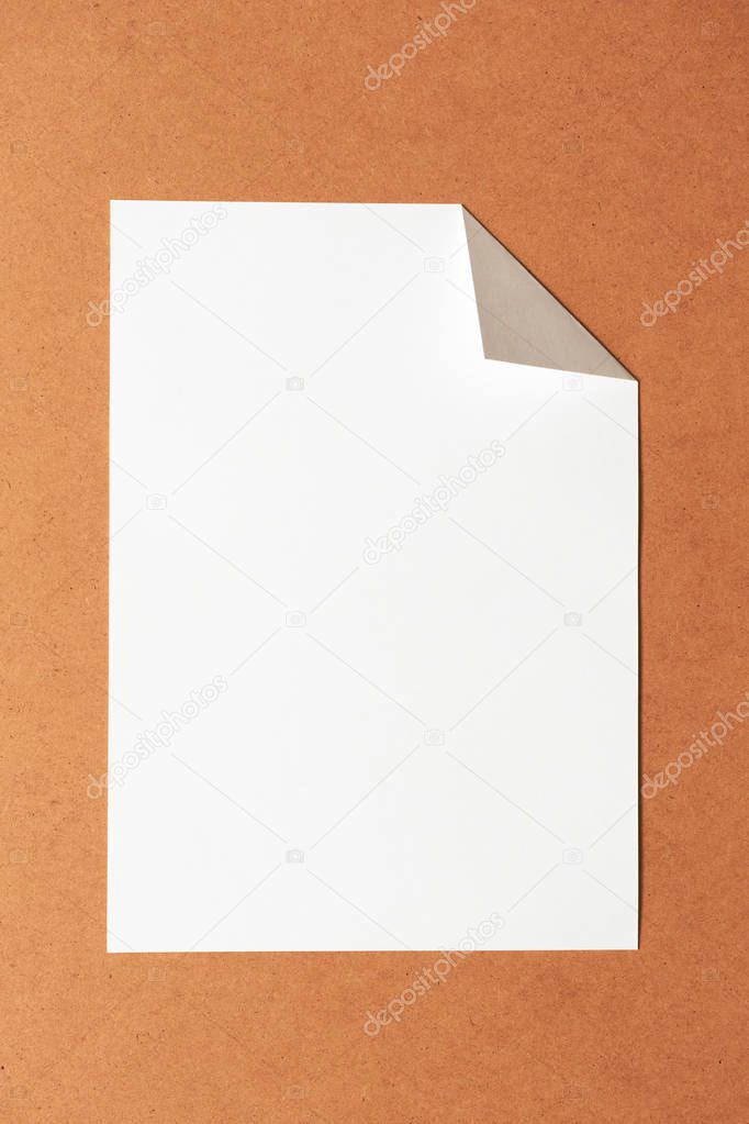 White empty clean paper sheet with folded corner on cardboard ba