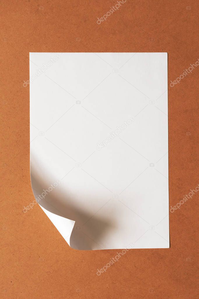 White blank paper sheet with turned-in corner on cardboard backg