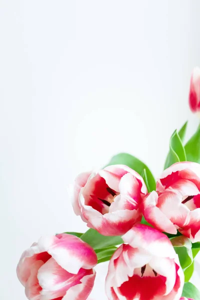 Tête Fleur Tulipe Avec Espace Copie Verticale Bouquet Vacances Délicat — Photo