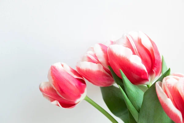 Bouquet Tulipes Roses Avec Espace Copie Beau Fond Fleur Pour — Photo