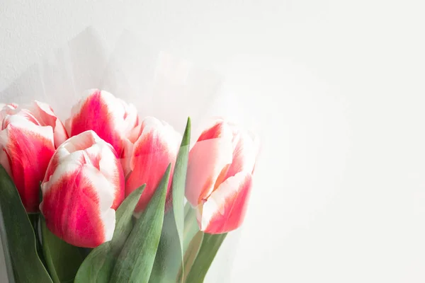 Bouquet Tulipes Roses Avec Espace Copie Cadeau Félicitations Fête Des — Photo