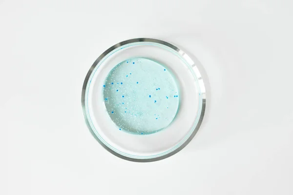 Şeffaf mavi duş jeli ve beyaz arka planda cam petri kabında tahıl. Laboratuvar testleri ve araştırmalar, kozmetik üretimi. Saflık yüz temizleyici, kabuk soyma, şampuan.