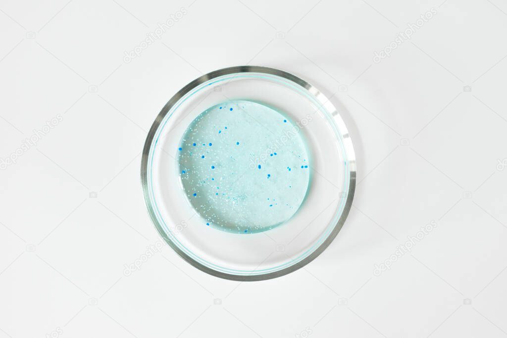 Transparent blue shower gel with scrub grain in glass petri dish on white background. Concept laboratory tests and research, making cosmetic. Purity facial cleanser, peeling, shampoo