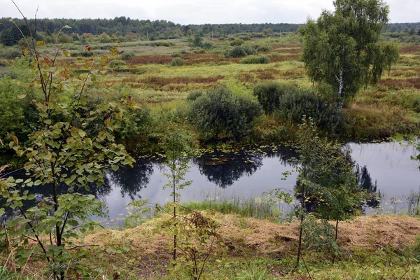 Il fiume, costa scoscesa, natura — Foto Stock