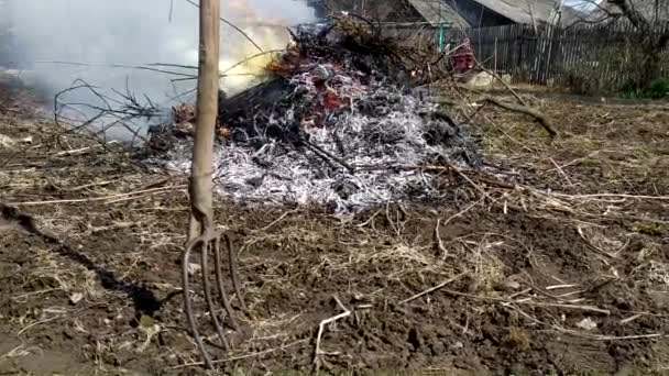 Zbieranie plonów w ogrodzie. Ognisko. Pali śmieci na imprezie. Trawa płonie.. — Wideo stockowe