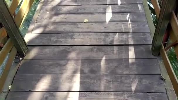 Pont en bois sur le ruisseau. Pont décoratif sur la rivière. — Video