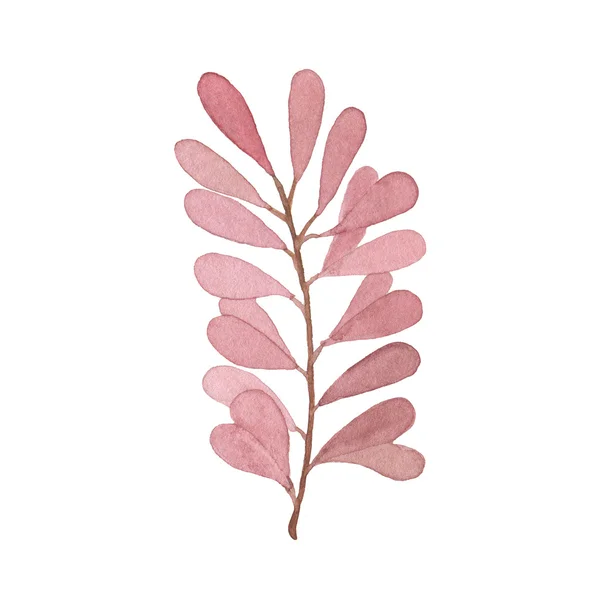 흰색 배경에 고립 수채화가 잎 — 스톡 사진