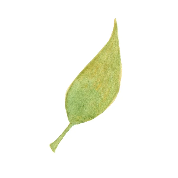 Ακουαρέλα φθινόπωρο φύλλα που απομονώνονται σε λευκό φόντο — Φωτογραφία Αρχείου