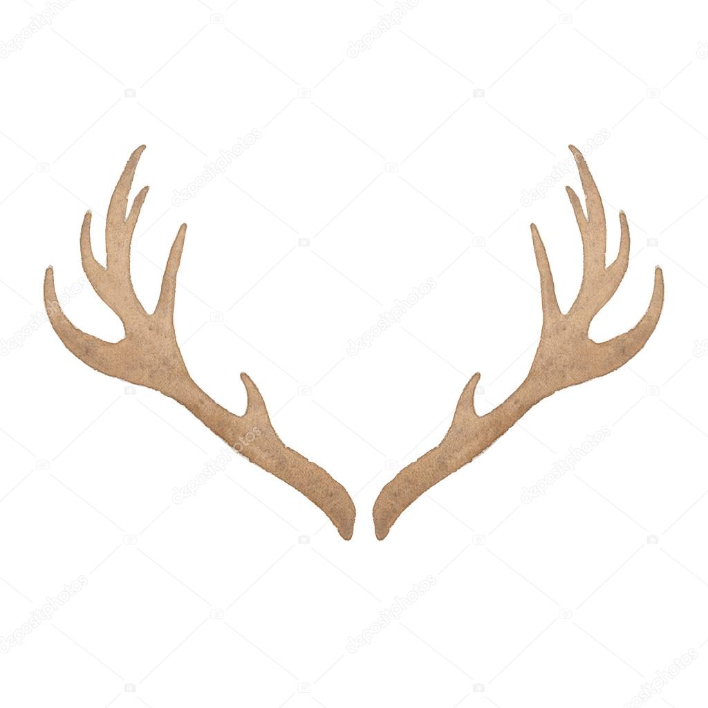 Watercolor deer antler isolated on white background