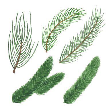 Beyaz arka plan üzerinde izole suluboya Noel Ladin brunch