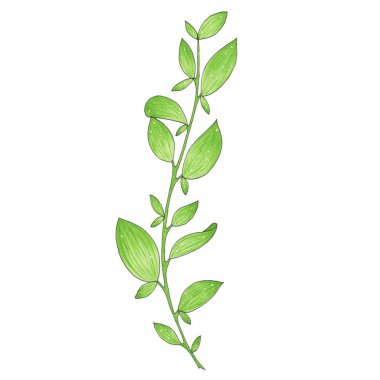 El işaretleri dal yeşil yaprakları ile ile boyalı