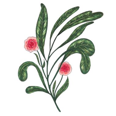 El işaretleri dal yeşil yaprakları ve pembe çiçekler ile boyalı