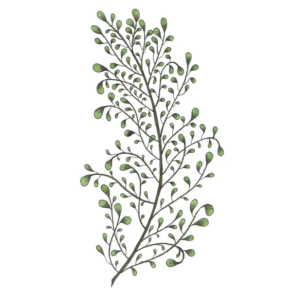 Hand painted with markers twig with green leaves — Stock Photo, Image
