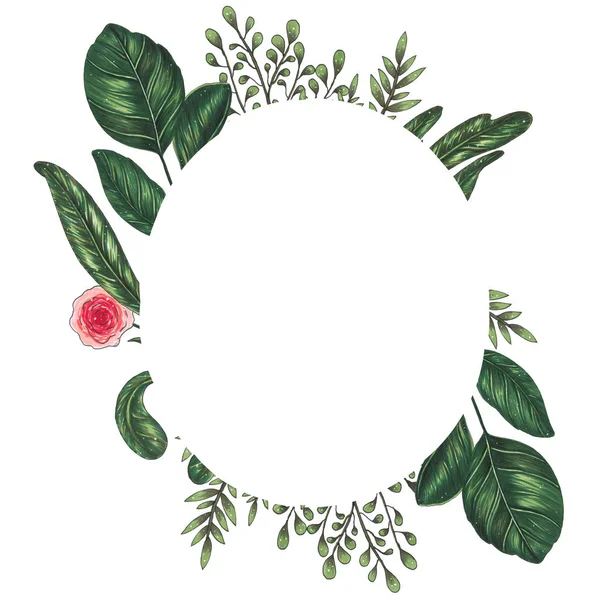 Ręcznie malowane z markerów kwiatowy ramki z gałązka, oddział i zielonych liści streszczenie — Zdjęcie stockowe