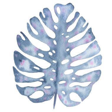 Beyaz arka plan üzerinde izole Indigo palmiye ağacı monstera yaprak suluboya tropikal el boyalı