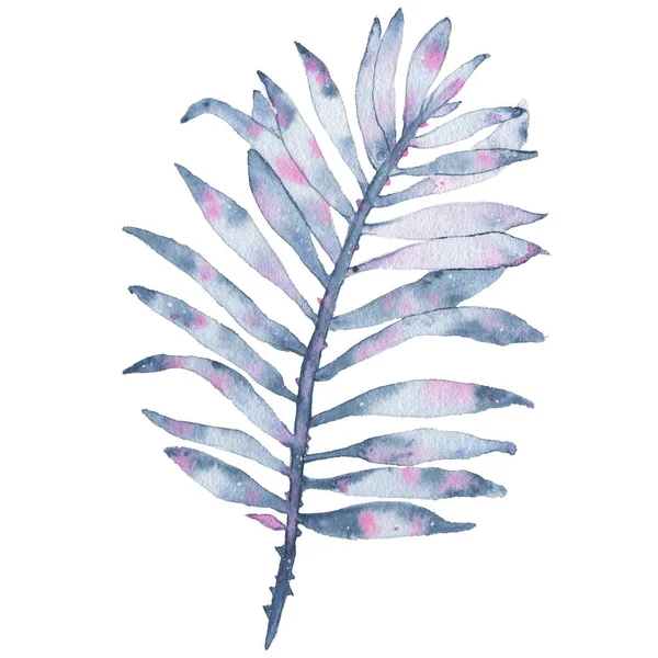 Akvarell trópusi kézzel festett indigo levél elszigetelt fehér background — Stock Fotó