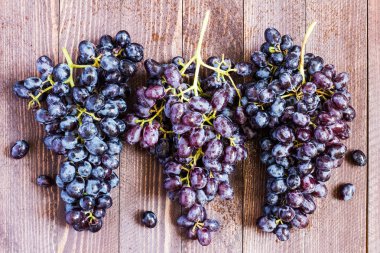 Koyu ahşap arka plan üzerinde siyah üzüm şube